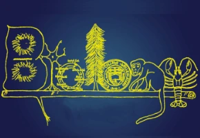 Home tutor in Jalandhar providing personalized tuition for school and competitive exams